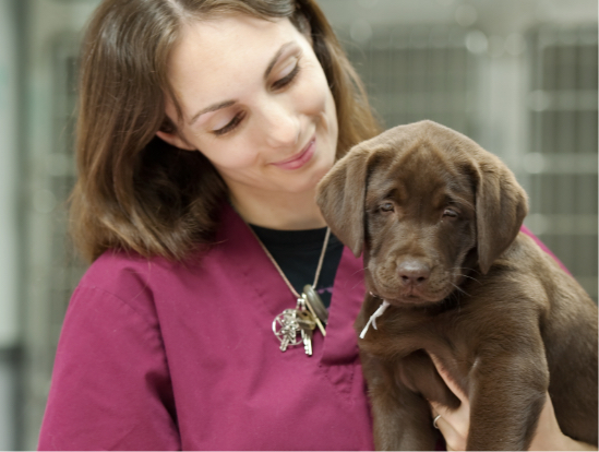 Image of a woman holding a dog. 